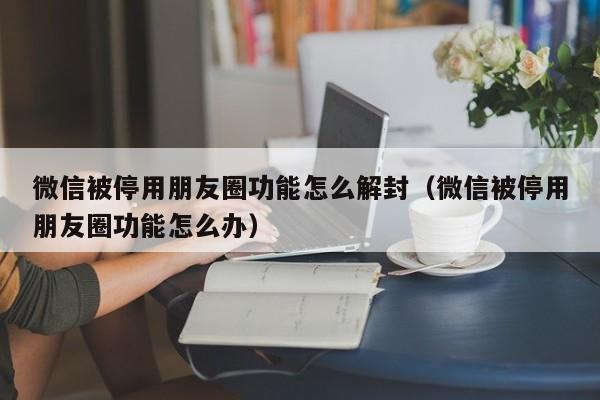 微信被停用朋友圈功能怎么解封（微信被停用朋友圈功能怎么办）