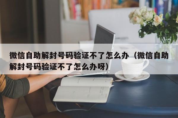 微信自助解封号码验证不了怎么办（微信自助解封号码验证不了怎么办呀）