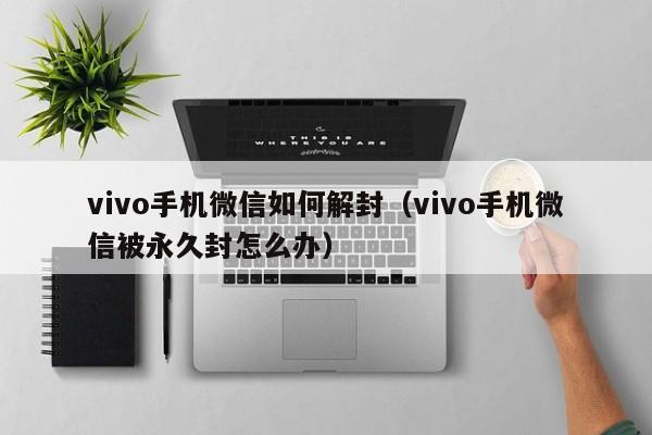 vivo手机微信如何解封（vivo手机微信被永久封怎么办）