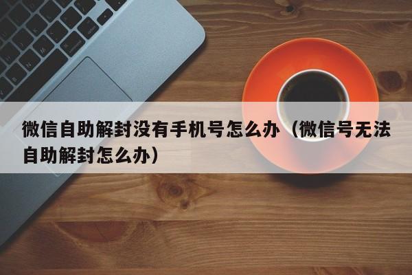 微信自助解封没有手机号怎么办（微信号无法自助解封怎么办）