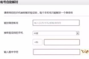 手机申请解封账号平台：轻松恢复你的数字生活