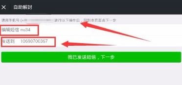 微信显示一个月后才能解封,微信解封：一个月的等待，重拾沟通的自由