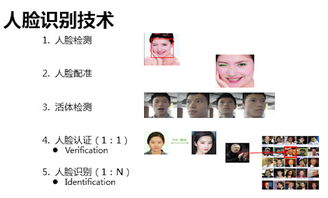 微信扫脸解封：解码神秘的人脸识别技术