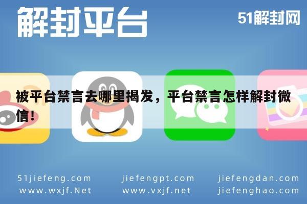 微信平台禁言如何申诉解封，实用指南